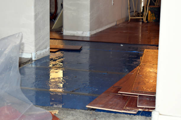 Professional Water Removal technician working in Mango, FL